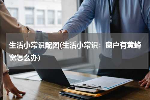 生活小常识配图(生活小常识：窗户有黄蜂窝怎么办)