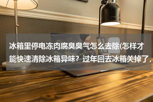 冰箱里停电冻肉腐臭臭气怎么去除(怎样才能快速清除冰箱异味？过年回去冰箱关掉了，里面的冻肉冰鲜都发臭了，有什么办法去除的，臭的受不了)