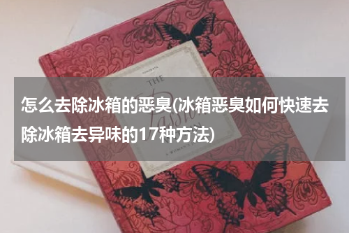 怎么去除冰箱的恶臭(冰箱恶臭如何快速去除冰箱去异味的17种方法)