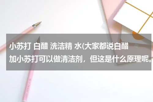 小苏打 白醋 洗洁精 水(大家都说白醋加小苏打可以做清洁剂，但这是什么原理呢。)