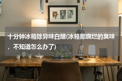十分钟冰箱除异味白醋(冰箱那腐烂的臭味，不知道怎么办了)