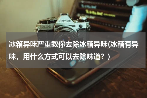 冰箱异味严重教你去除冰箱异味(冰箱有异味，用什么方式可以去除味道？)