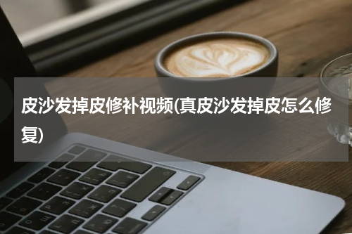 皮沙发掉皮修补视频(真皮沙发掉皮怎么修复)