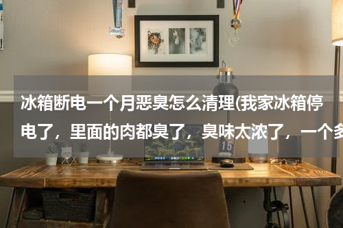 冰箱断电一个月恶臭怎么清理(我家冰箱停电了，里面的肉都臭了，臭味太浓了，一个多星期了臭味还是去不了，怎么办啊，有好的办法吗？)