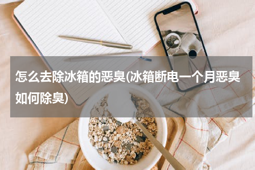 怎么去除冰箱的恶臭(冰箱断电一个月恶臭如何除臭)