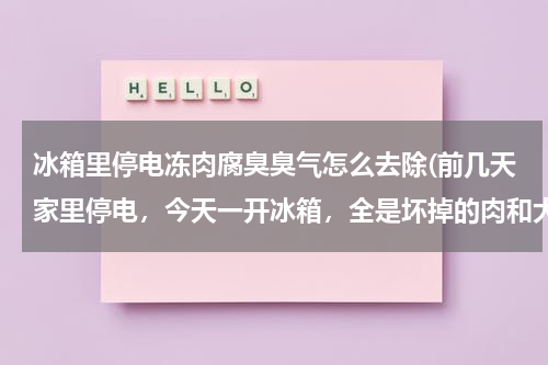 冰箱里停电冻肉腐臭臭气怎么去除(前几天家里停电，今天一开冰箱，全是坏掉的肉和大虾，冰箱里气味恶臭无比，怎么搞呢)