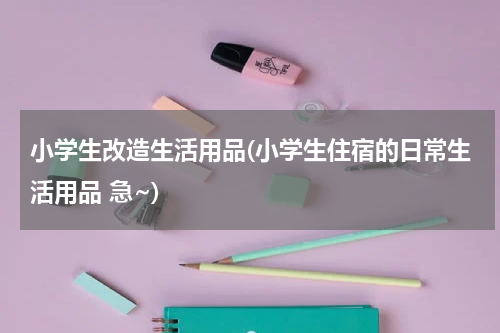 小学生改造生活用品(小学生住宿的日常生活用品 急~)