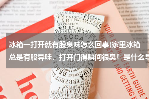 冰箱一打开就有股臭味怎么回事(家里冰箱总是有股异味，打开门得瞬间很臭！是什么导致的，有什么好的方法解决么?)