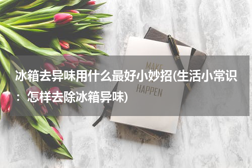 冰箱去异味用什么最好小妙招(生活小常识：怎样去除冰箱异味)