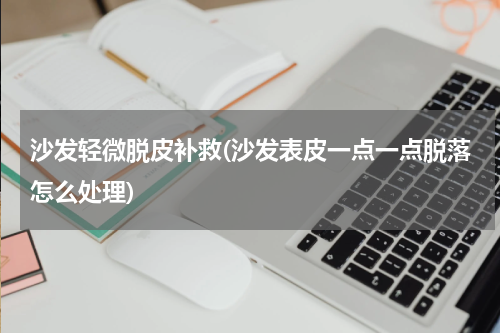 沙发轻微脱皮补救(沙发表皮一点一点脱落怎么处理)