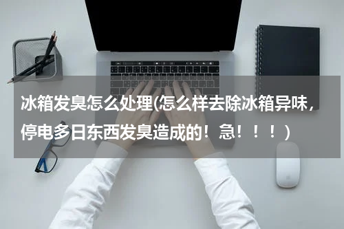 冰箱发臭怎么处理(怎么样去除冰箱异味，停电多日东西发臭造成的！急！！！)