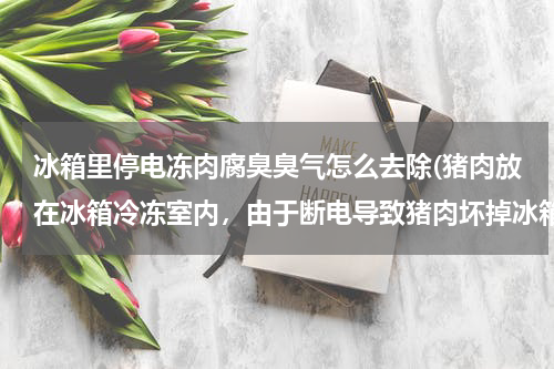 冰箱里停电冻肉腐臭臭气怎么去除(猪肉放在冰箱冷冻室内，由于断电导致猪肉坏掉冰箱変臭，臭味实在是不好去除，请教大家看能不能有更好的办)