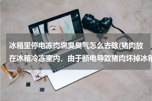 冰箱里停电冻肉腐臭臭气怎么去除(猪肉放在冰箱冷冻室内，由于断电导致猪肉坏掉冰箱変臭，臭味实在是不好去除，请教大家看能不能有更好的办)