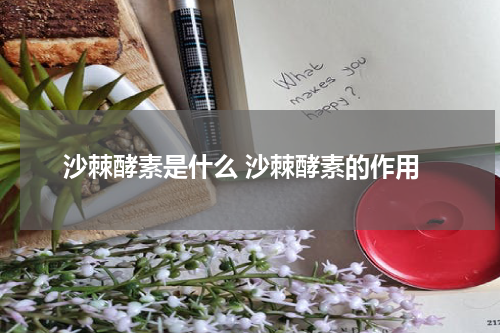 沙棘酵素是什么 沙棘酵素的作用