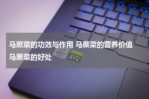 马厥菜的功效与作用 马蕨菜的营养价值 马蕨菜的好处