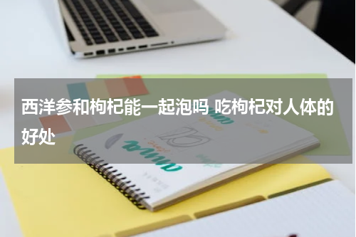 西洋参和枸杞能一起泡吗 吃枸杞对人体的好处