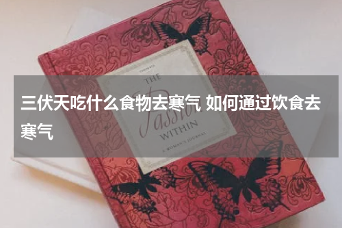 三伏天吃什么食物去寒气 如何通过饮食去寒气