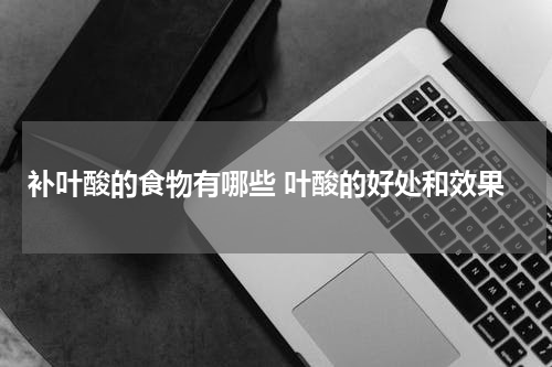 补叶酸的食物有哪些 叶酸的好处和效果