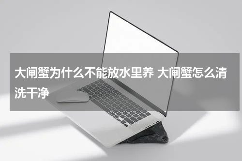 大闸蟹为什么不能放水里养 大闸蟹怎么清洗干净