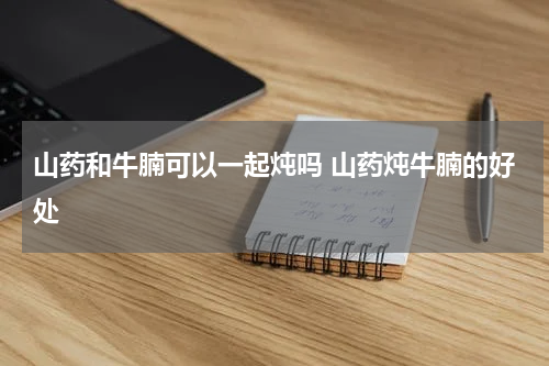 山药和牛腩可以一起炖吗 山药炖牛腩的好处