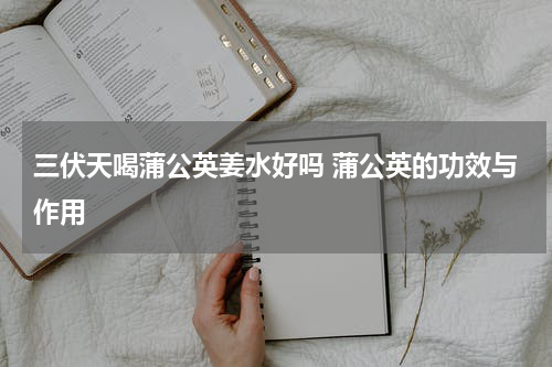 三伏天喝蒲公英姜水好吗 蒲公英的功效与作用