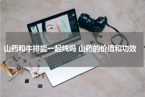 山药和牛排能一起炖吗 山药的价值和功效