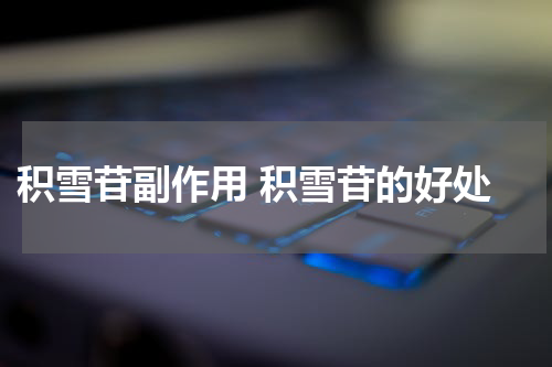  积雪苷副作用 积雪苷的好处