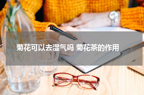  菊花可以去湿气吗 菊花茶的作用