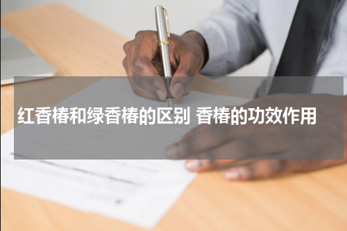 红香椿和绿香椿的区别 香椿的功效作用