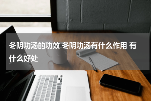 冬阴功汤的功效 冬阴功汤有什么作用 有什么好处