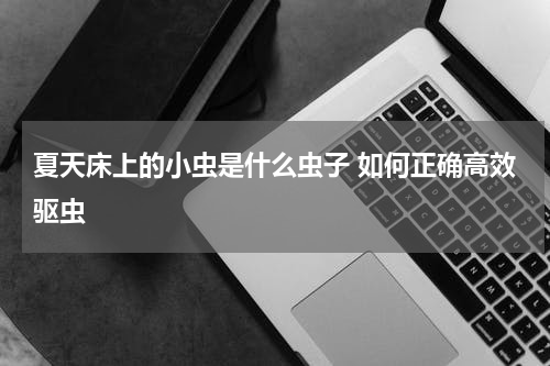 夏天床上的小虫是什么虫子 如何正确高效驱虫