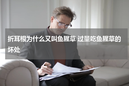 折耳根为什么又叫鱼腥草 过量吃鱼腥草的坏处