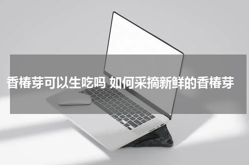 香椿芽可以生吃吗 如何采摘新鲜的香椿芽