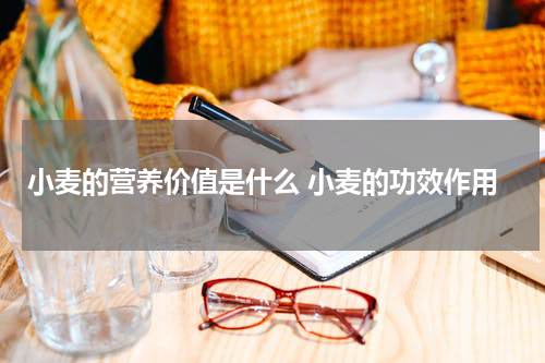 小麦的营养价值是什么 小麦的功效作用