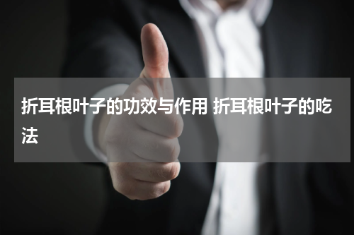 折耳根叶子的功效与作用 折耳根叶子的吃法