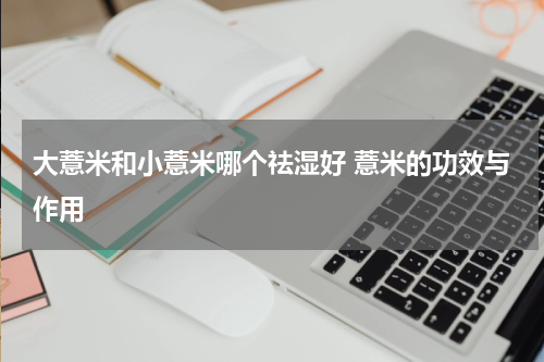 大薏米和小薏米哪个祛湿好 薏米的功效与作用