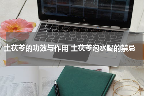 土茯苓的功效与作用 土茯苓泡水喝的禁忌