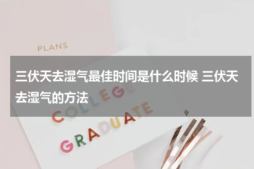 三伏天去湿气最佳时间是什么时候 三伏天去湿气的方法