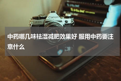中药哪几味祛湿减肥效果好 服用中药要注意什么