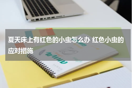 夏天床上有红色的小虫怎么办 红色小虫的应对措施