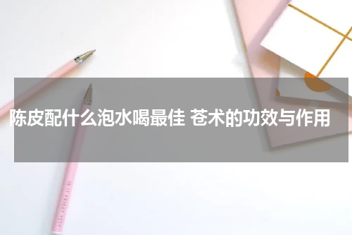 陈皮配什么泡水喝最佳 苍术的功效与作用